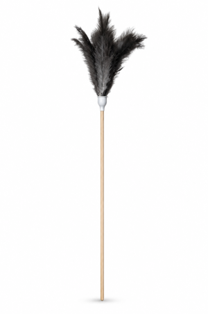 Feather Duster - 1800mm