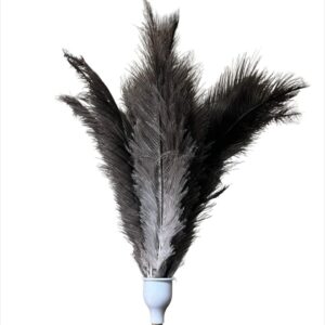 Feather Duster - 1800mm
