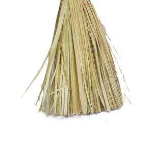 Grass Broom
