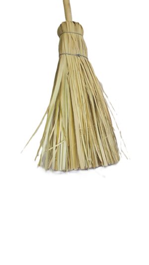 Grass Broom