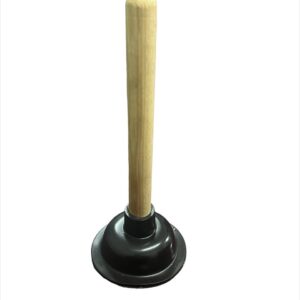 Toilet Plunger
